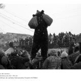 ceata-de-oameni-jocul-ursilor-foto-dan-malureanu-06