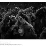 racnet-mut-jocul-ursilor-foto-dan-malureanu-03